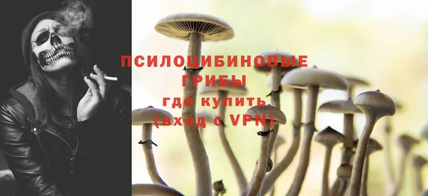 прущий лед Гусь-Хрустальный