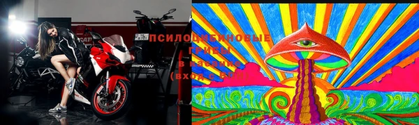 прущий лед Гусь-Хрустальный