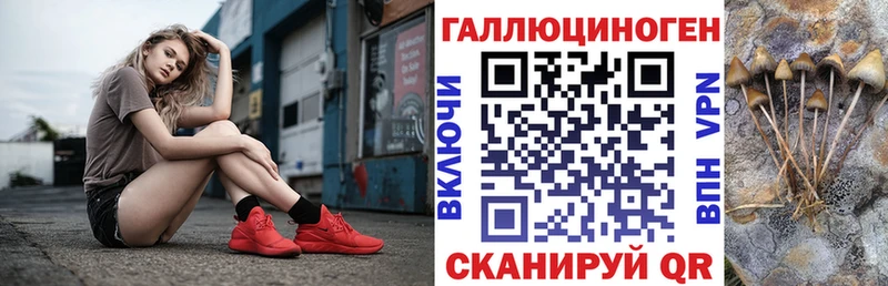 Псилоцибиновые грибы Cubensis  Купить  Ивантеевка 